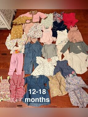 Baby girl lot size 12-18 months